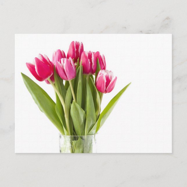 Bündel von roten und weißen Tulpen in Glasvase Postkarte (Vorderseite)