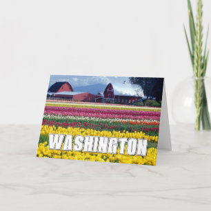 Bundesstaat Washington Tulpenfeld Danke