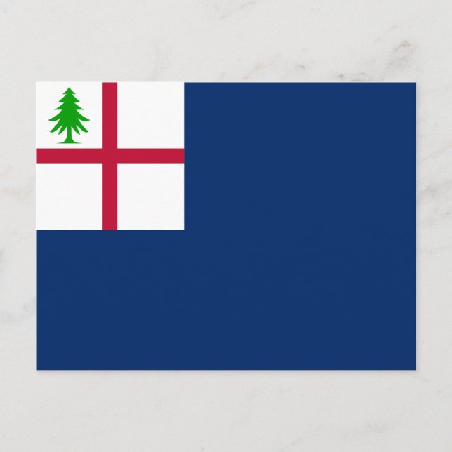 Bunker Hill Flag Postkarte (Vorderseite)
