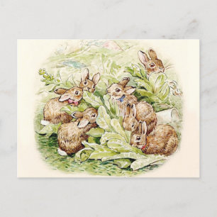 Bunnies in Lettuce Patch von Beatrix Potter Postkarte