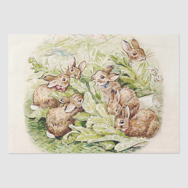 Bunnies in Lettuce Patch von Beatrix Potter Seidenpapier (Vorderseite)
