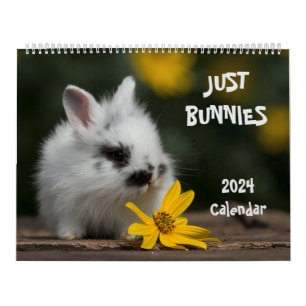 Bunnies-Mauerkalender 2024 Kalender