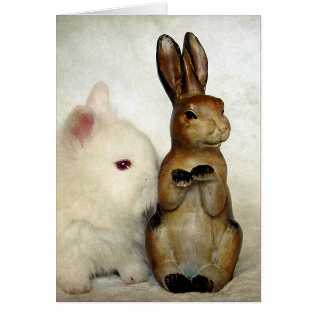 Bunnies Oaster (Vorne)