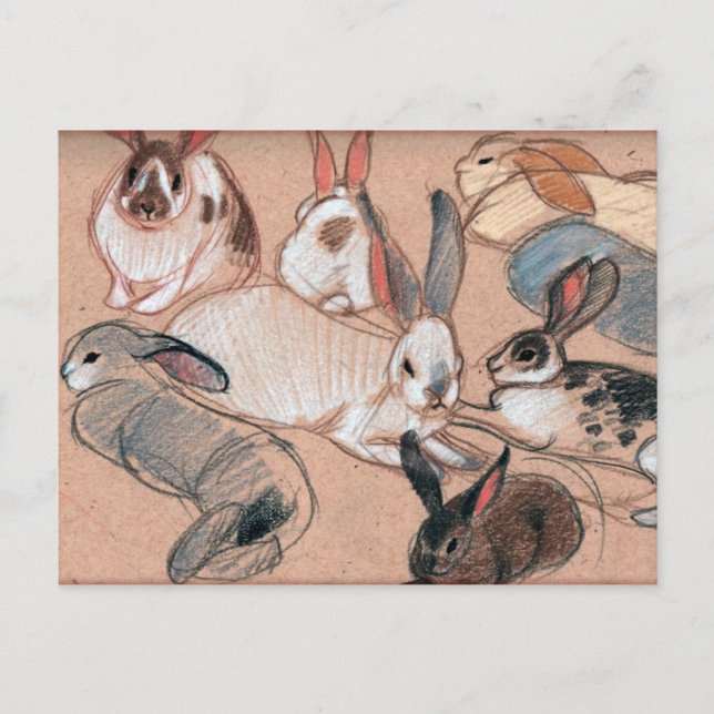 Bunnies Postkarte (Vorderseite)