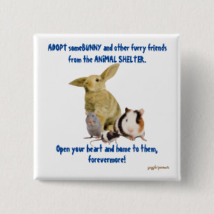 Bunnies und andere Zornfreunde brauchen liebevolle Button