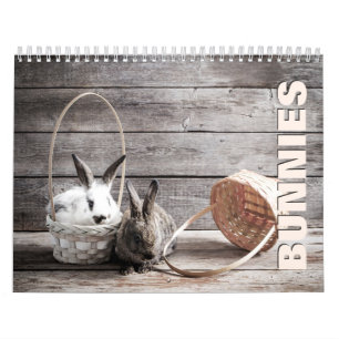 Bunnies Wall Calendar Kalender