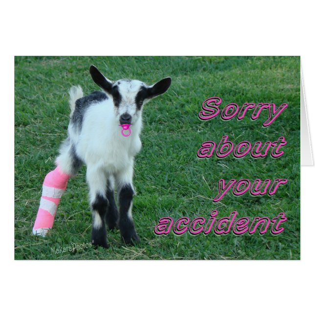 Bunny1375-customize (Vorderseite (Horizontal))