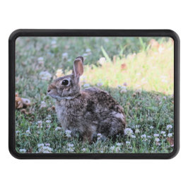 Bunny Abschlepphaken Cover