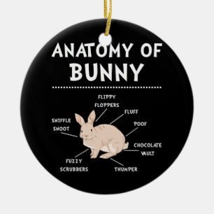 Bunny Anatomy Rabbit Lover Sonnige Mama Keramik Ornament