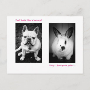 Bunny and French bulldog Postkarte