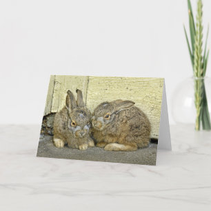 Bunny babies in the wild feiertagskarte