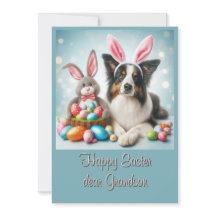 Bunny Border Collie Happy Ostergrandson