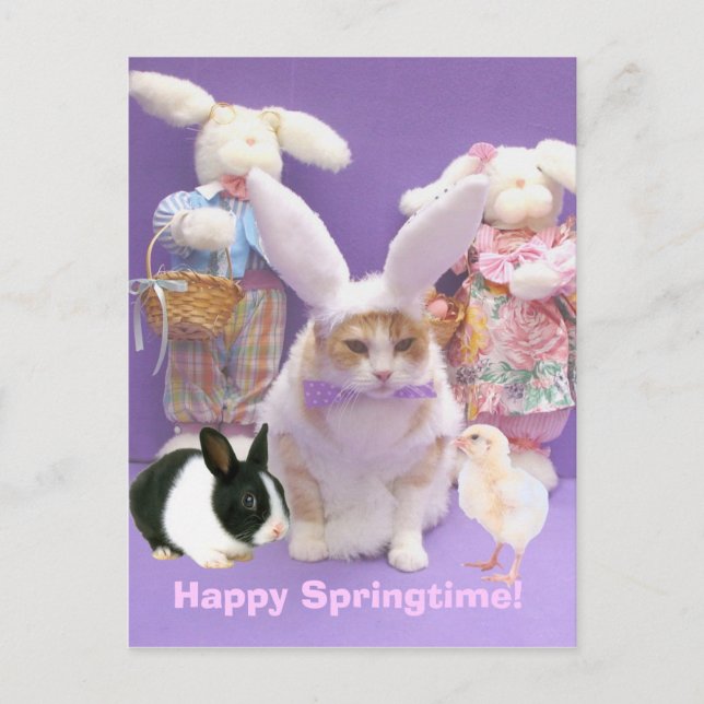 Bunny Bubba 2 Postkarte (Vorderseite)