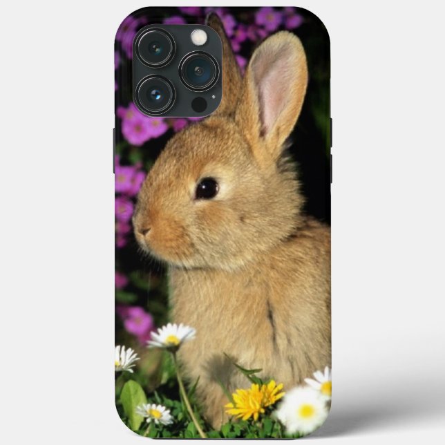Bunny Case-Mate iPhone Hülle (Rückseite)