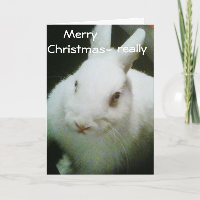 BUNNY CELEBRATES "CHRISTMAS" FEIERTAGSKARTE (Vorderseite)