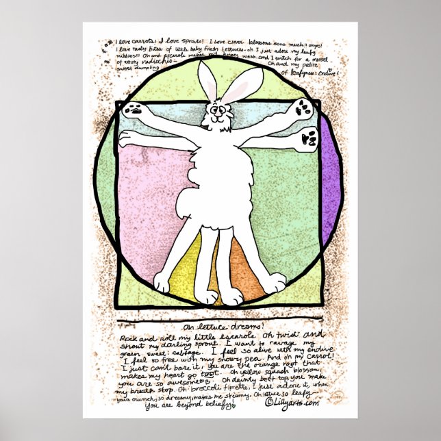 Bunny DaVinci Poster und Print (Vorne)