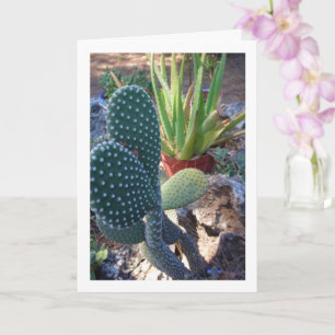Bunny Ears Cactus und Aloe Vera Pflanze Karte