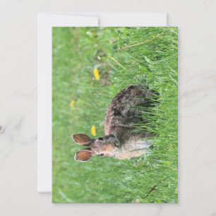 Bunny Einladung
