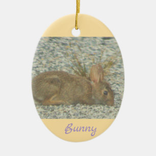 Bunny Foto Ornament