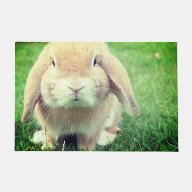 Bunny Fußmatte (Vorderseite)