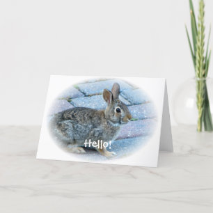 Bunny Greeting Card by Elaine Karte