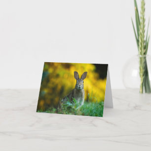 Bunny Karte