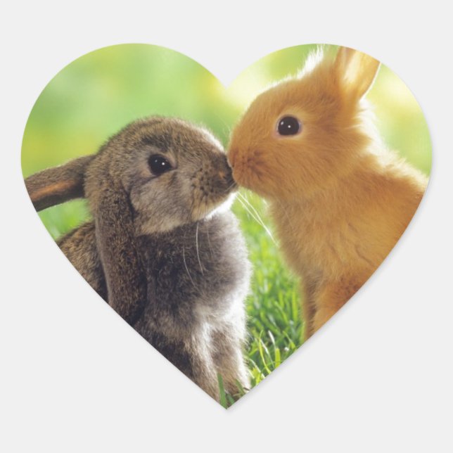 Bunny Kiss Herz-Aufkleber (Vorderseite)