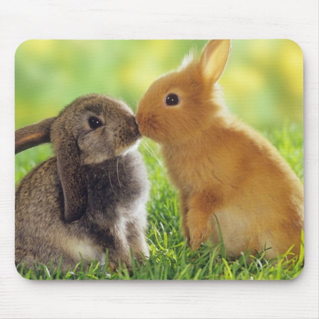 Bunny Kiss Mousepad (Vorne)