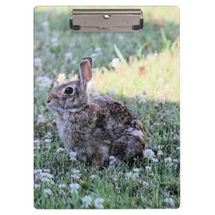 Bunny Klemmbrett