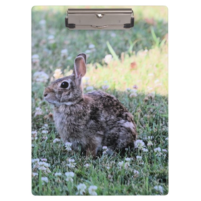 Bunny Klemmbrett (Vorderseite)