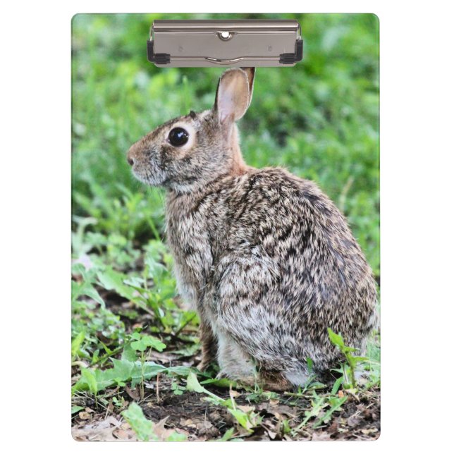 Bunny Klemmbrett (Vorderseite)