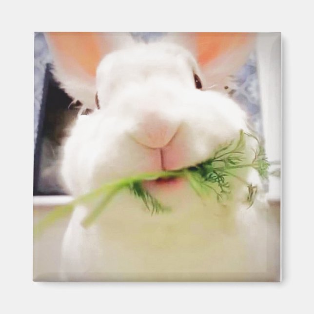 Bunny Magnet (Vorne)