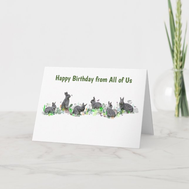 Bunny Meadow Card (Geburtstag) Karte (Vorderseite)