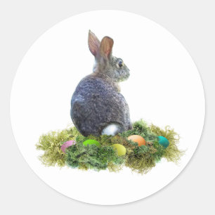 Bunny mit farbigen Eiern in Lichen Runder Aufkleber