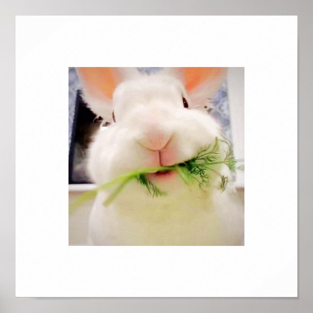 Bunny Munching Poster (Vorne)