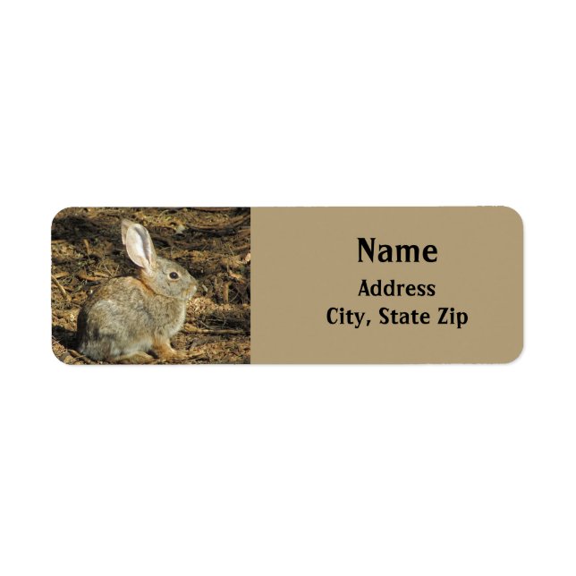 Bunny Niedlich Little Rabbit Brown Desert Animal (Vorne)