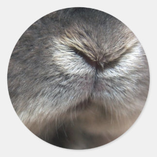 Bunny Nose Runder Aufkleber