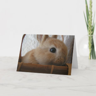 Bunny Oaster Card Feiertagskarte