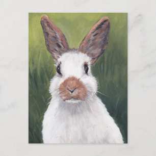 Bunny Ohren Tierart Postcard Postkarte