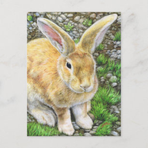 Bunny Pastel Postkarte