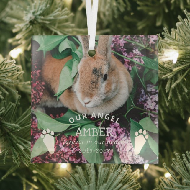 Bunny Paw druckt unser Angel Foto Rabbit Memorial Ornament Aus Glas (Insitu)