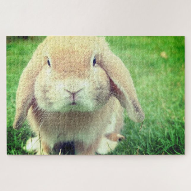 Bunny Puzzle (Horizontal)