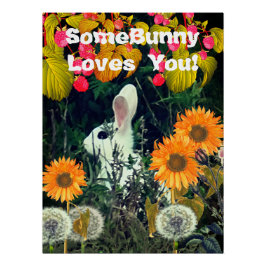 Bunny Rabbit Animal Wildlife Poster