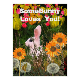 Bunny Rabbit Animal Wildlife Poster