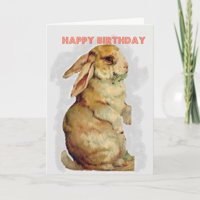 Bunny Rabbit Birthday Card Karte (Vorderseite)