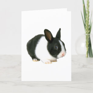Bunny Rabbit Black & White Karte