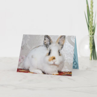 Bunny Rabbit Feiertagskarte
