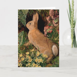 Bunny rabbit flowers ferns vintage woodland spring karte