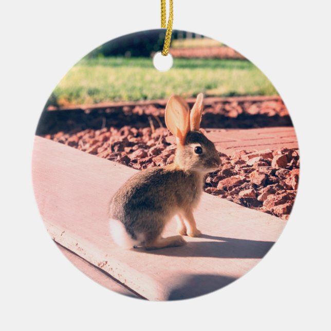 Bunny Rabbit Foto von Easter Spring Keramik Ornament (Vorne)