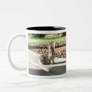 Bunny Rabbit Foto von Easter Spring Zweifarbige Tasse